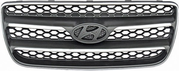 Radiator Grill COMPLEET SANTA FE 06-09 ZWART/Chroom
