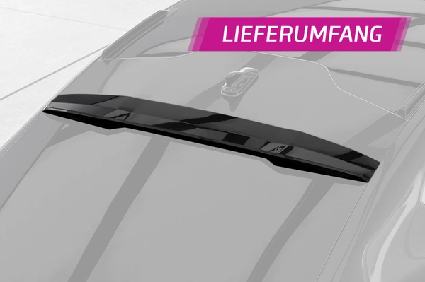 Achterspoiler | ABE Cupra Tavascan