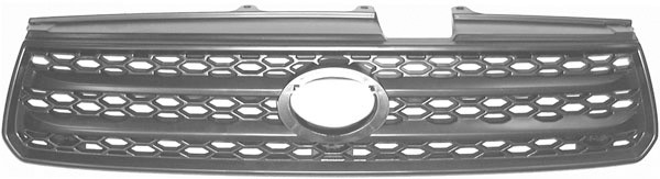 Radiator Grill RAV 4 00-03