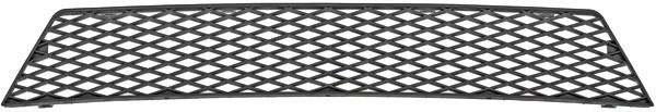 Grill Ford Fiesta ST