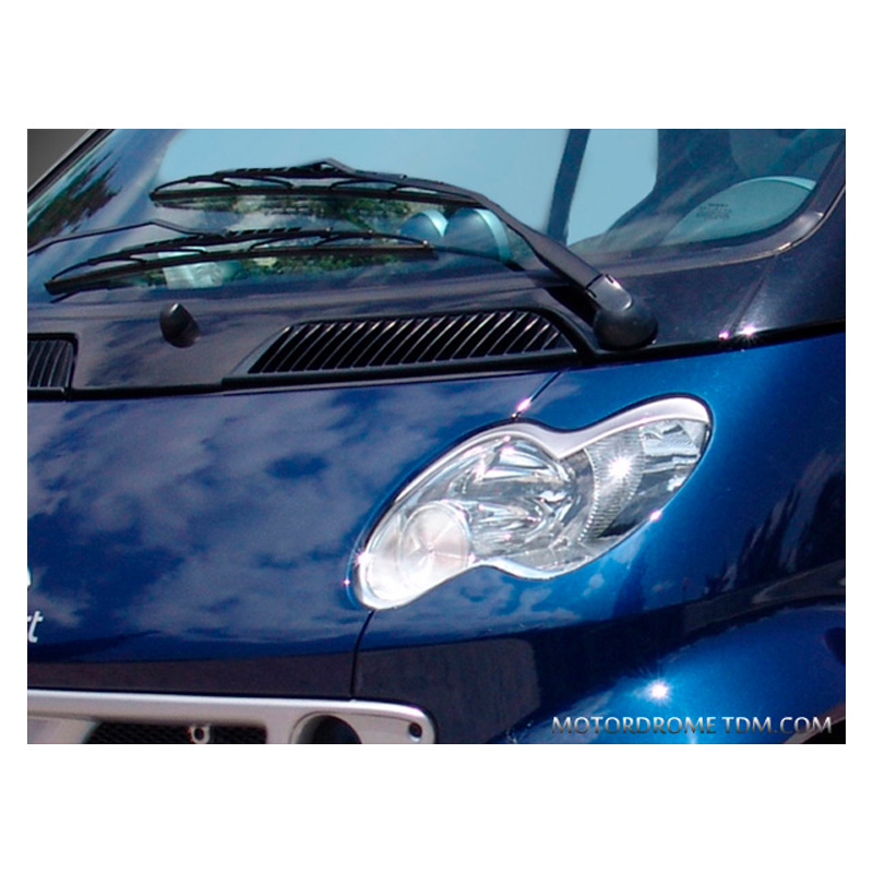 Headlights MCC Smart ForTwo 2002-2006 (ABS)