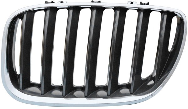 Grill Links BMW X9