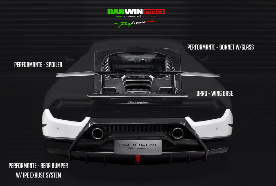 Lamborghini Huracan LP610/LP580 Performante Style Deels Carbon Fiber Aero - Full Kit 2015-2020