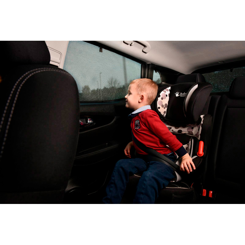 Set Car Shades (achterportieren)  Ford Kuga III 2019- (2-delig)