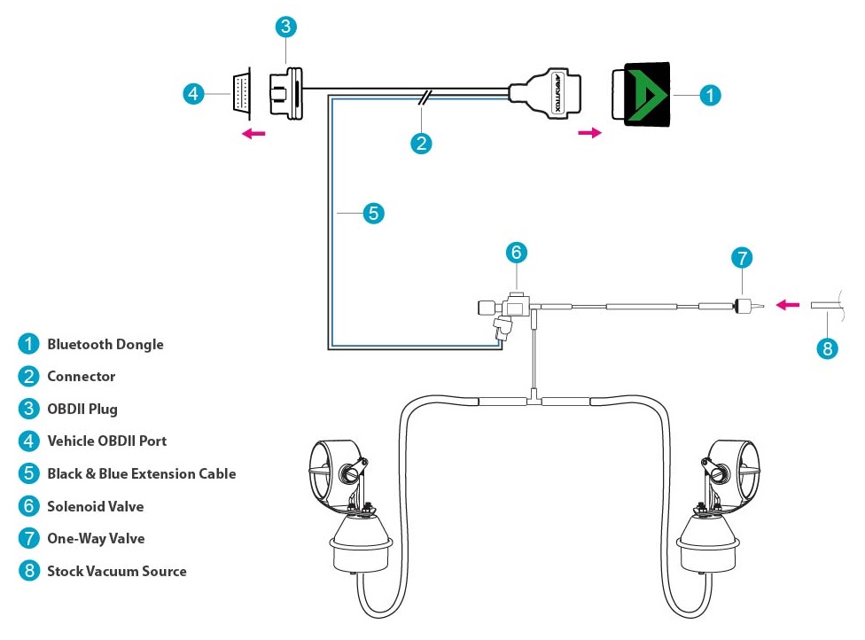 Armytrix BMW 3 Series F30/F31 335i (N55B30) (2011-2015) Quad Mat