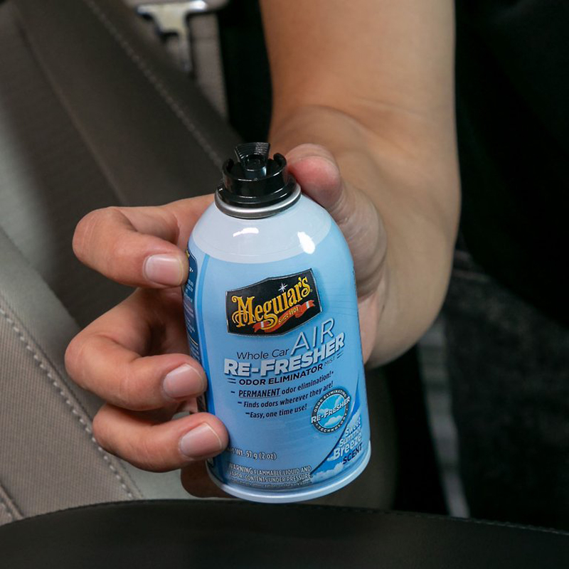 Meguiar's Air Refresher Sweet Summer Breeze