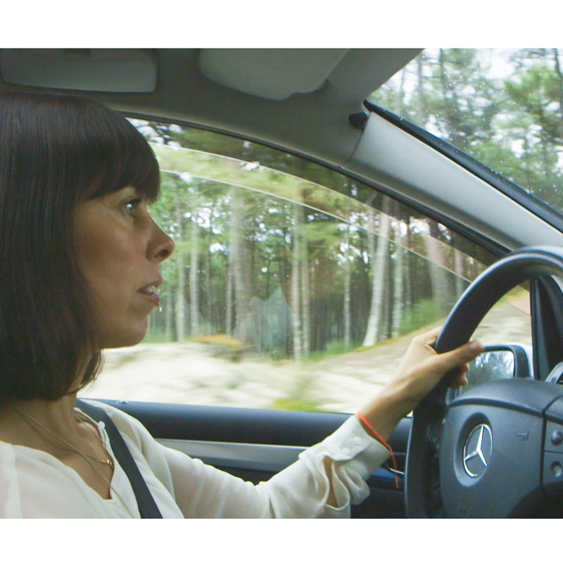 DGA Zijwindschermen  Nissan NV200 / Evalia 2010- (2-delig)