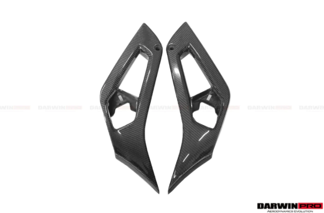 Lamborghini Aventador LP700 LP740 Coupe/Roadster Carbon Fiber Deurgreep 2011-2016