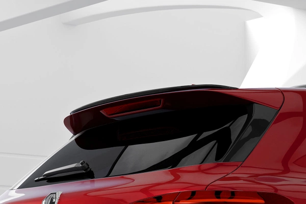 Achterspoiler | Cup Spoiler Lip met ABE voor MG HS/EHS