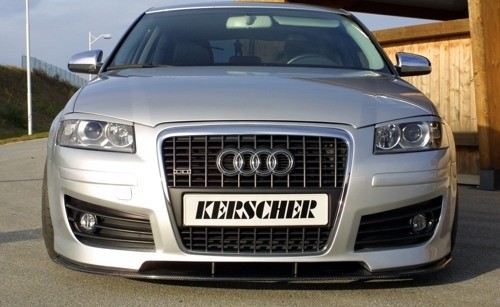 Parrilla de un solo cuadro Audi A3 8P
