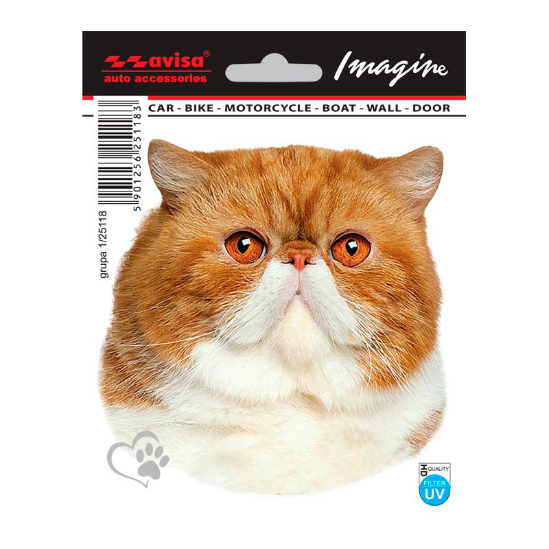 Auto Tattoo Sticker Pers - 11x11cm