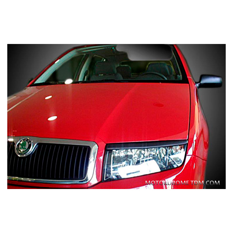 Headlights Skoda Fabia 6Y 1999-2007 (ABS)