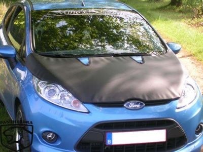 Steenslag/Auto Bra Ford fiesta 2009
