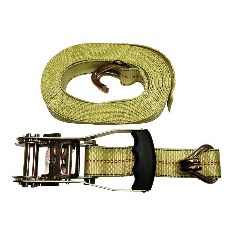 Carpoint Spanband met Ratel Professioneel 8m