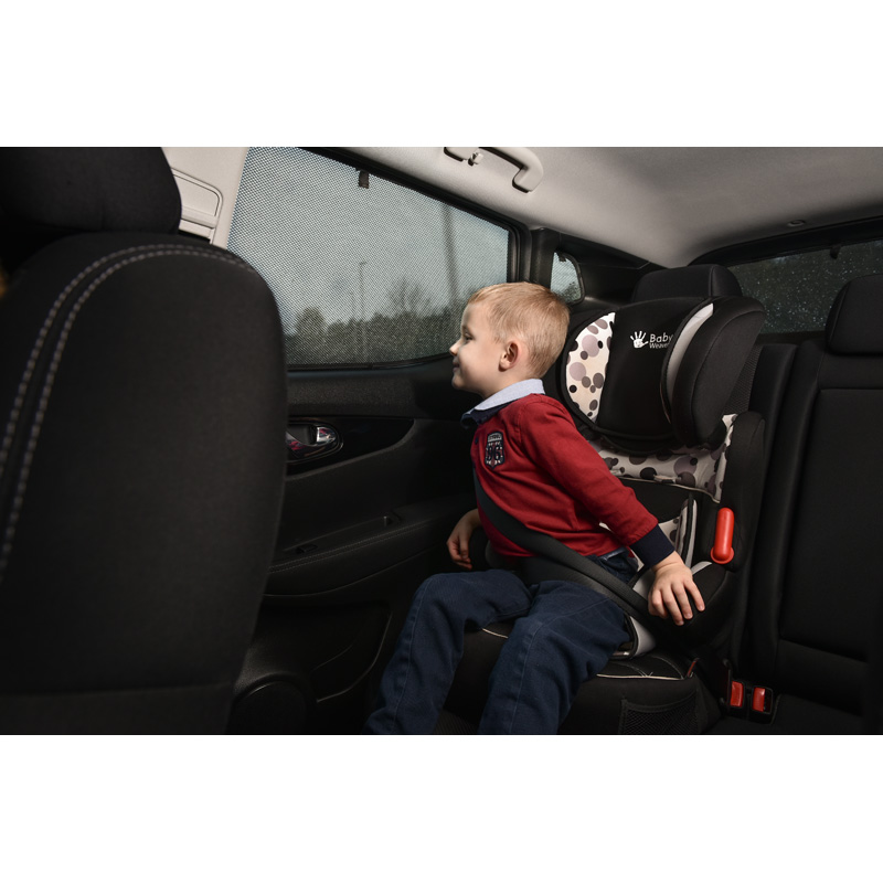 Privacy Shades Renault Grand Modus