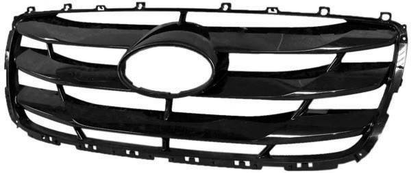 Radiator Grill SANTA FE, 09->> ZWART