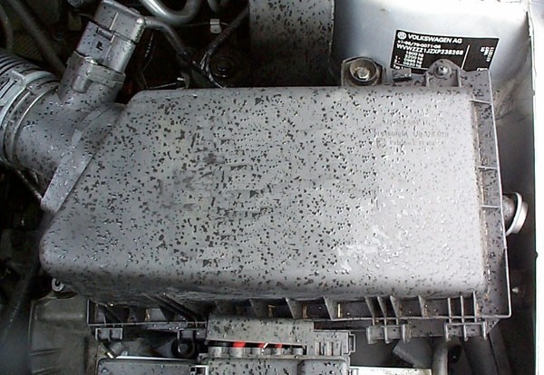 Pipercross Seat Leon (1M) 1.9 TDi 90/110pk 11/99-10/05 Standard