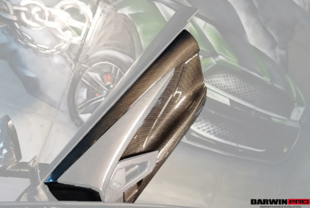 Lamborghini Aventador LP700 LP740 Coupe Carbon Deurpaneel 2011-2016