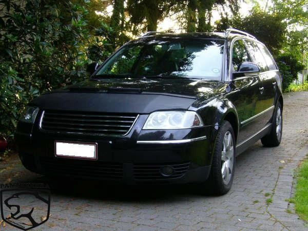 Steenslag/Auto Bra VW passat 3BG 2001-2004