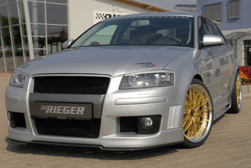 Spoilerzwaard Carbon-Look voor Voorbumper Audi A3 8P versie Rieg