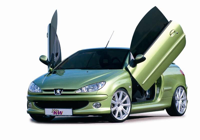 LSD vleugeldeuren Peugeot 206 09/98-