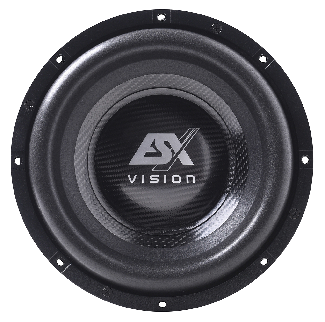 ESX VISION VX PRO 10 Inch (25cm) subwoofer VX10PRO