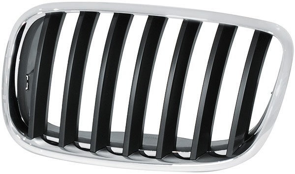RadiatorGrill links BMW X5 07-10