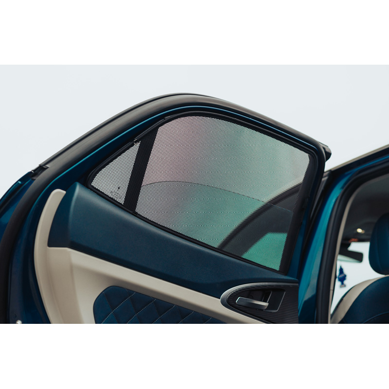 Set Car Shades  Ora Funky Cat (ES11) 2022- (4-delig)