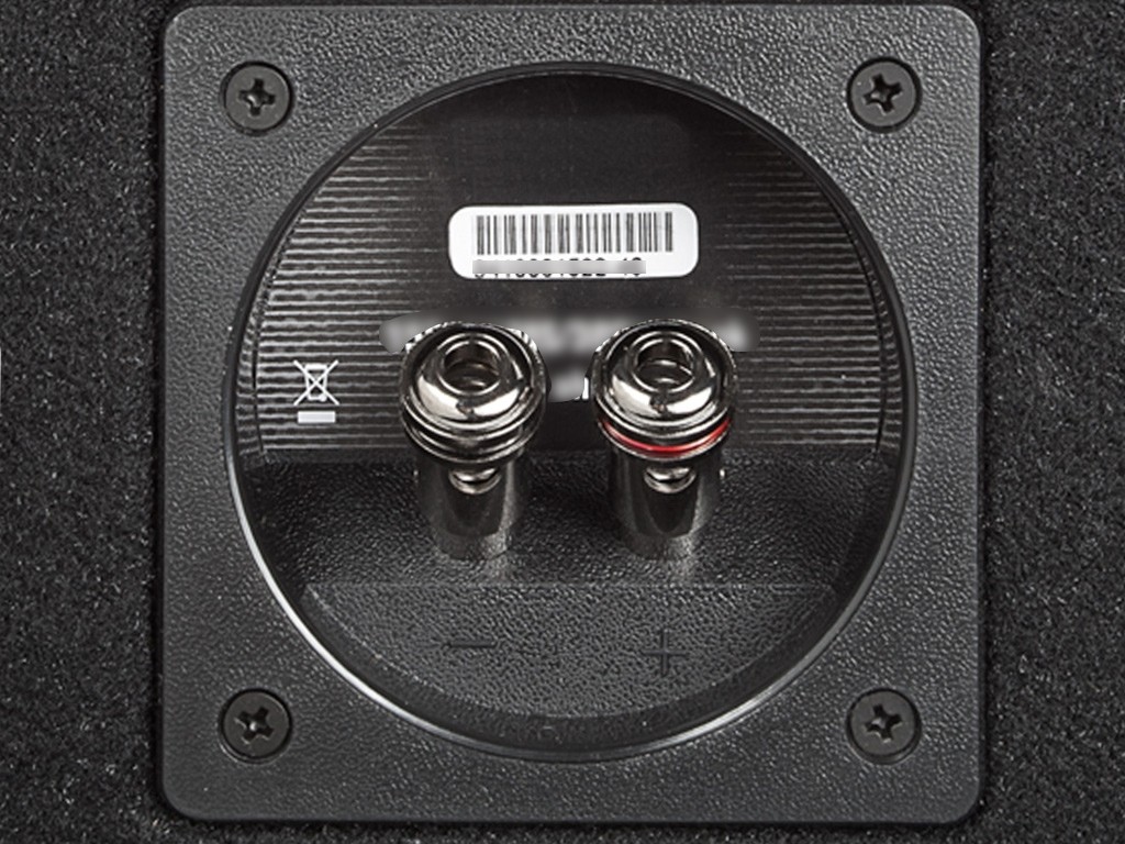 Rockford Fosgate Punch Subwoofer in kist P2-2X10