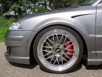 Zijscherm VW Passat 3BG