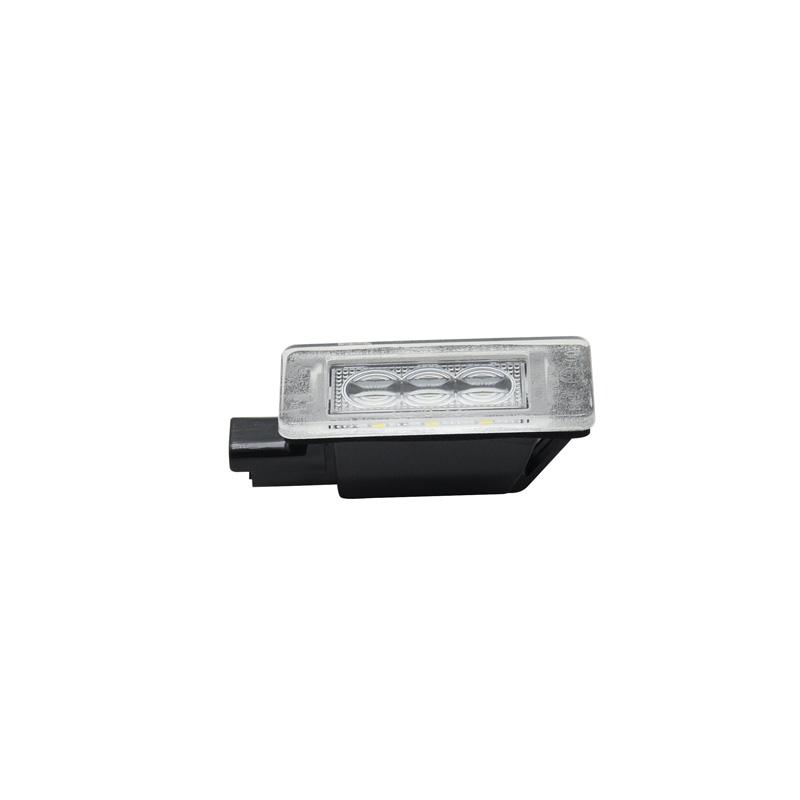 Set LED Nummerplaatverlichting  Peugeot diverse modellen