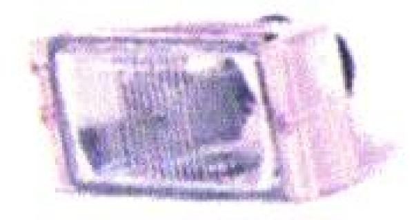 Mistlamp links CLIO 91-94 WIT VALEO PLASTIC rand WIT