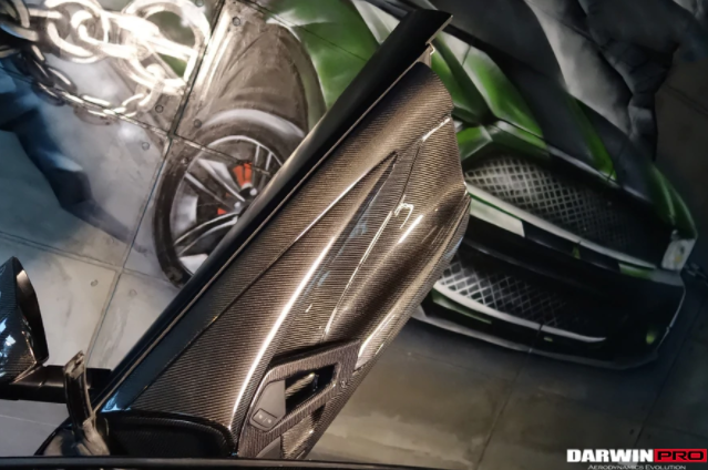 Lamborghini Aventador LP700 LP740 Coupe Carbon Deurpaneel 2011-2016