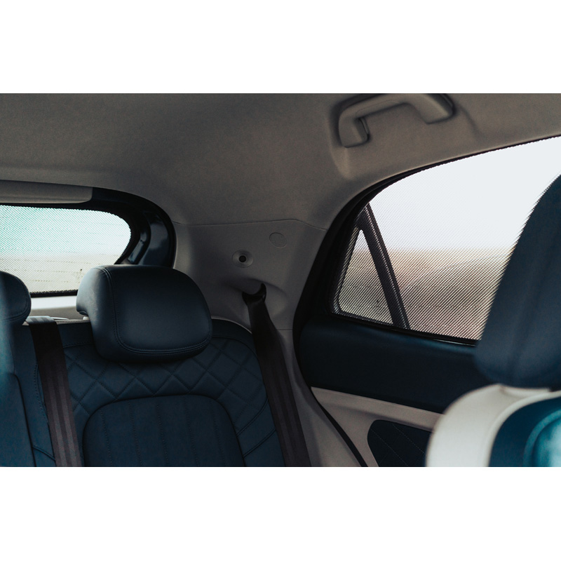 Set Car Shades  Ora Funky Cat (ES11) 2022- (4-delig)