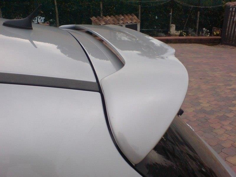 Dakspoiler Peugeot 207 06-12