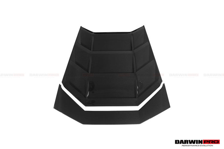 Lamborghini Huracan LP610/LP580 Carbon Motorkap 2015-2021