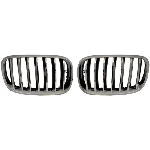 Sportgrill BMW X6 Type E71/E72 bj. 2008- Chroom/Zwart