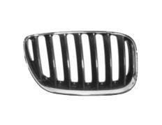 grille, rechts BMW X5 E53, 2003-2007