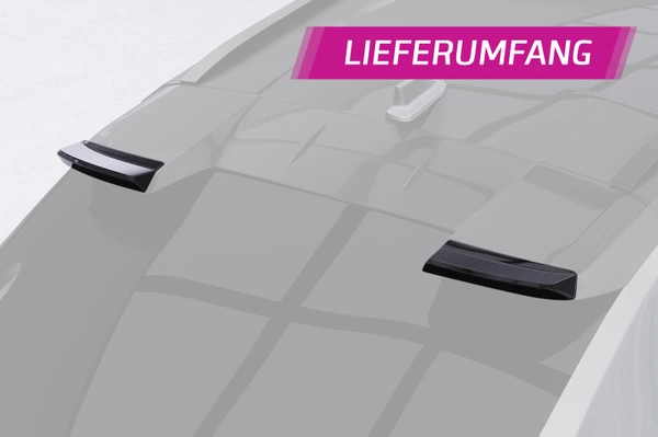 Hoge achterspoiler | ABE voor Toyota bZ4X / Subaru Solterra