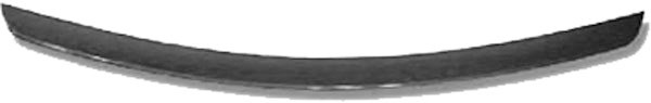 ACHTERSPOILERLIP W209 02->>