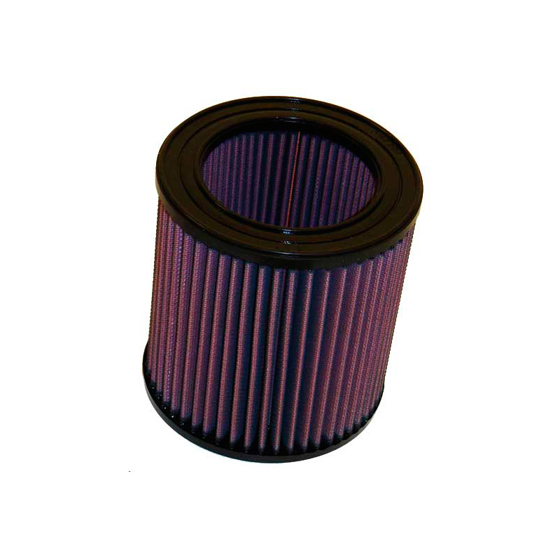 K&N vervangingsfilter  Buick Century 3.1L V6 1994-1996 & Pontiac Firebird 5.0L V8 1985-1992 (E-0890)