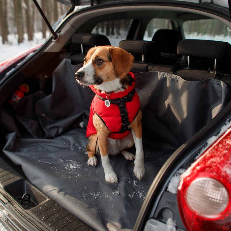 EPACC041 PET COVER