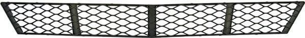 BumperGrill Mercedes W215
