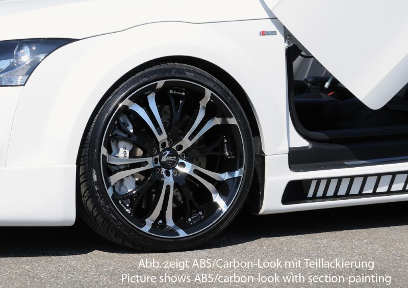 Zijskirts Audi TT 8J ABS Carbon-look Rieger